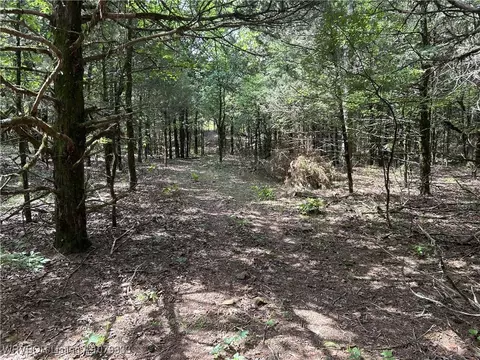 tbd Lee Point Rd, Ozark, AR 72949 photo 5