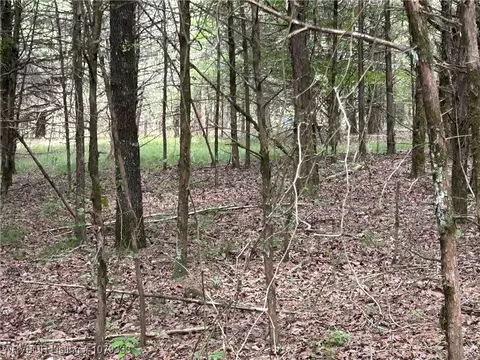 tbd Lee Point Rd, Ozark, AR 72949 photo 8