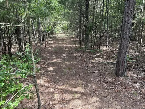 tbd Lee Point Rd, Ozark, AR 72949 photo 2