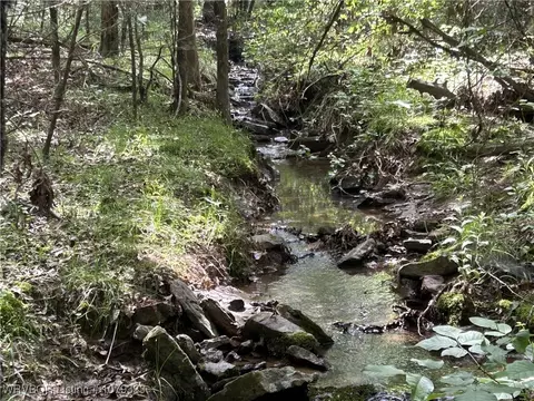 tbd Lee Point Rd, Ozark, AR 72949 photo 4