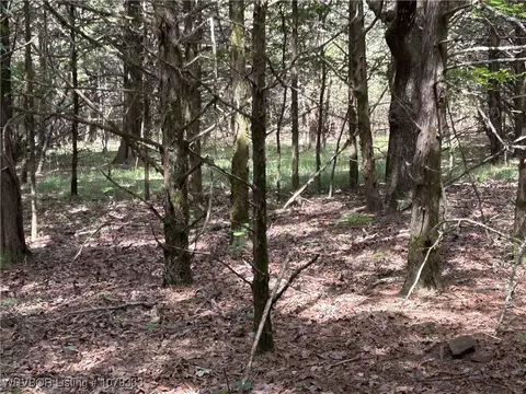 tbd Lee Point Rd, Ozark, AR 72949 photo 6
