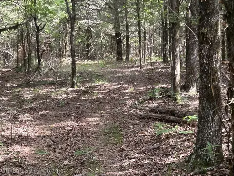 tbd Lee Point Rd, Ozark, AR 72949 photo 7