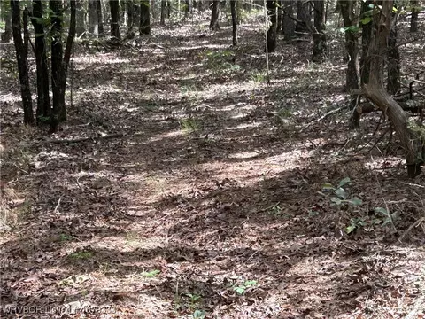 tbd Lee Point Rd, Ozark, AR 72949 photo 12