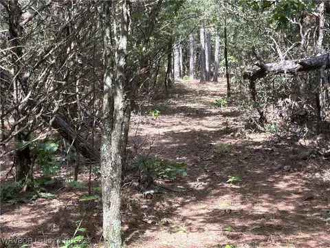 tbd Lee Point Rd, Ozark, AR 72949 photo 11