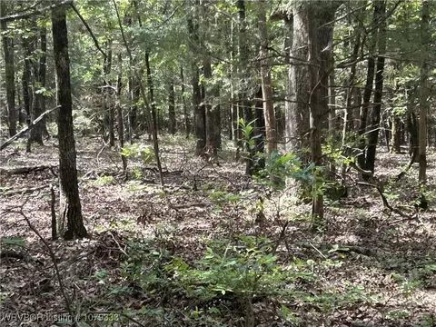 tbd Lee Point Rd, Ozark, AR 72949 photo 19