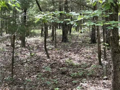 tbd Lee Point Rd, Ozark, AR 72949 photo 17