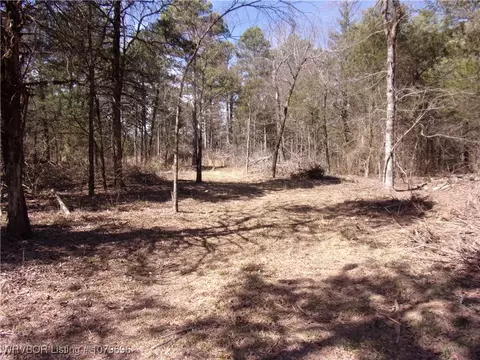 tbd Citadel Bluff Trl, Cecil, AR 72930 photo 4