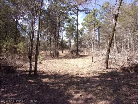 tbd Citadel Bluff Trl, Cecil, AR 72930 photo 5