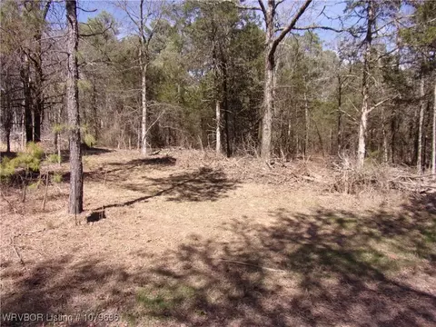 tbd Citadel Bluff Trl, Cecil, AR 72930 photo 3