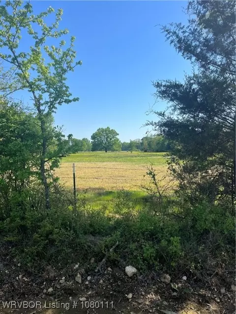 tbd Snapdragon Rd, Golden, OK 74737