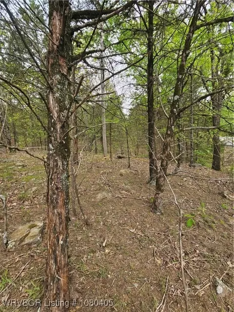 tbd Hwy 23, Booneville, AR 72927