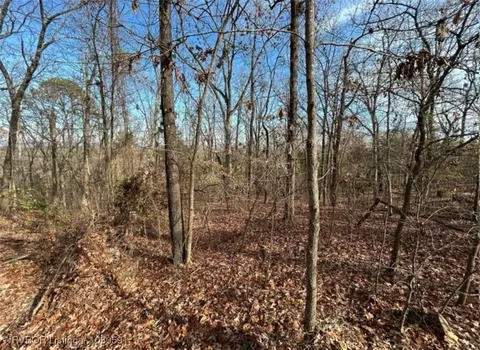tbd Red Oak Dr, Ozark, AR 72949