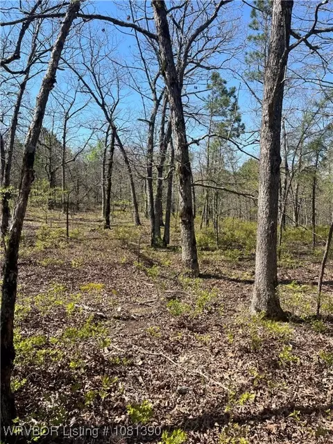 Tract 2 K Trail, Talihina, OK 74571