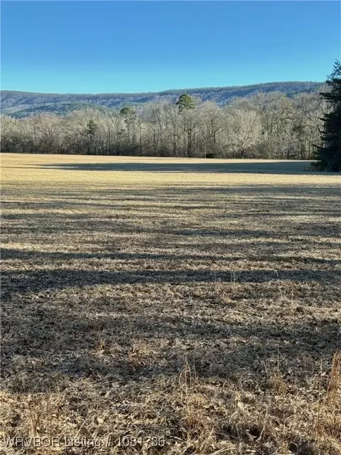 tbd Lot 4 Rocky Rd, Hodgen, OK 74939