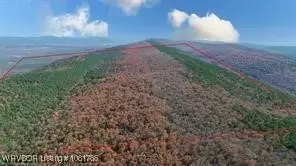 tbd Kiamichi Mtn, Whitesboro, OK 74577