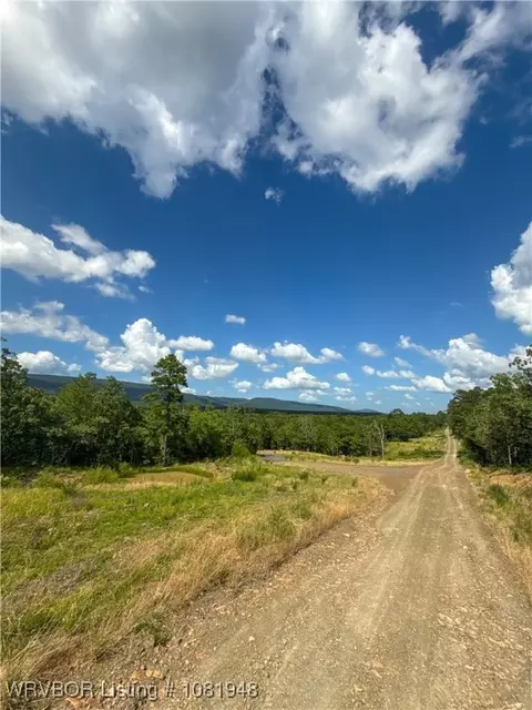20706 Fields Ln, Hodgen, OK 74939 photo 12