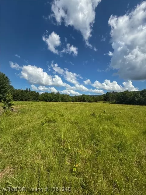 20706 Fields Ln, Hodgen, OK 74939 photo 6