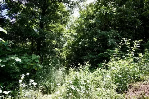 tbd N Devils Den Rd, Winslow, AR 72959 photo 2