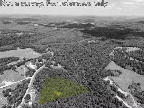 tbd N Devils Den Rd, Winslow, AR 72959 photo 10