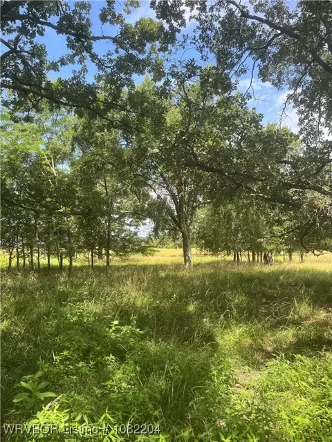 Tract 20 Bean Patch Loop, Howe, OK 74940 photo 7