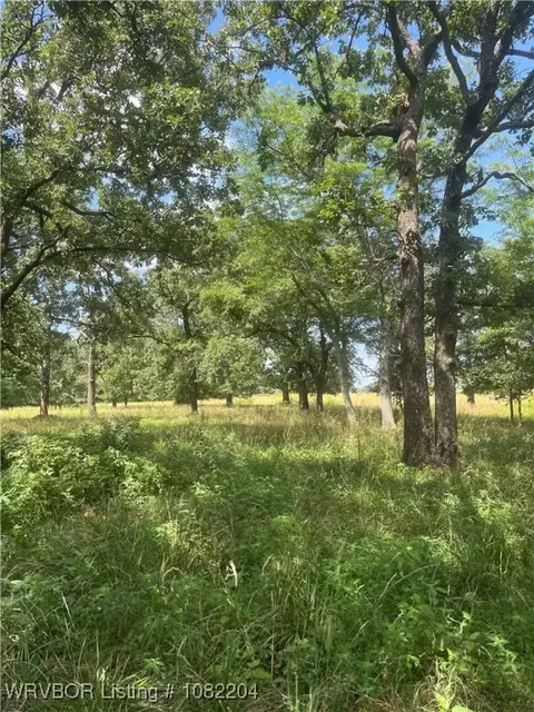 Tract 20 Bean Patch Loop, Howe, OK 74940 photo 8
