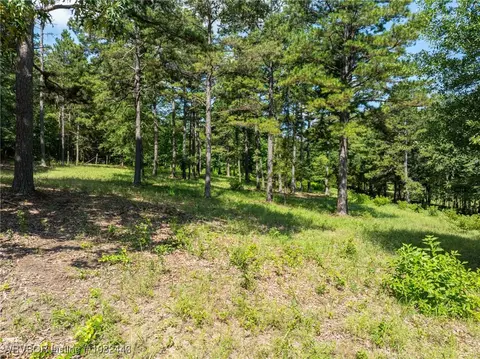 2220 Dublin Rd, Scranton, AR 72863 photo 22