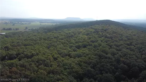 0001 Randolph Rd, Ratcliff, AR 72951