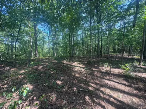 tbd Cr 3891, Lamar, AR 72846