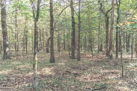 000 Fox Pit Rd, Hackett, AR 72937 photo 23