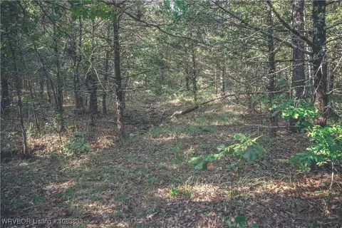 000 Fox Pit Rd, Hackett, AR 72937 photo 18