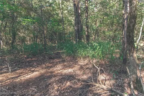 000 Fox Pit Rd, Hackett, AR 72937 photo 26
