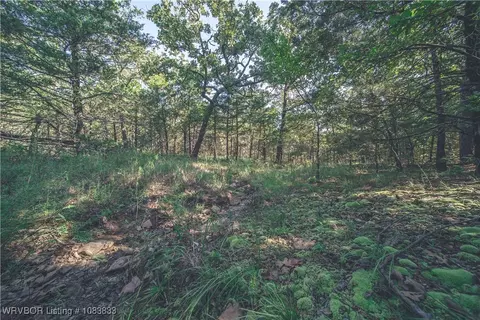 000 Fox Pit Rd, Hackett, AR 72937 photo 28