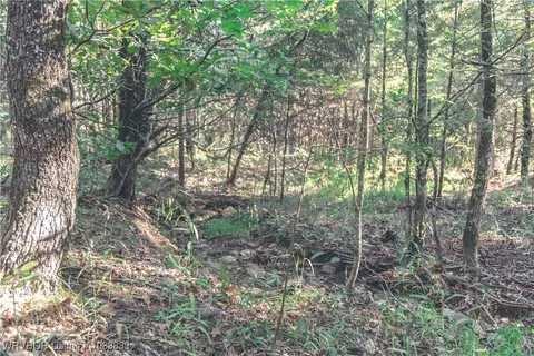 000 Fox Pit Rd, Hackett, AR 72937 photo 21