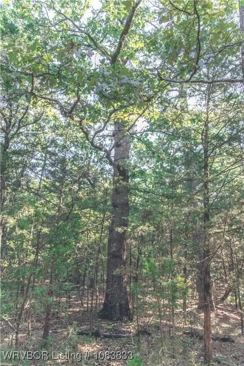 000 Fox Pit Rd, Hackett, AR 72937 photo 22
