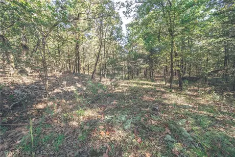 000 Fox Pit Rd, Hackett, AR 72937 photo 29