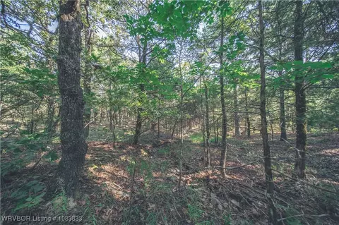 000 Fox Pit Rd, Hackett, AR 72937 photo 27
