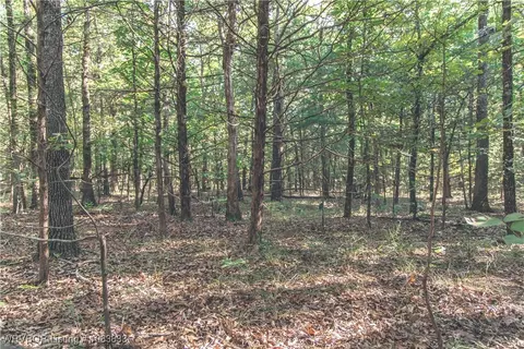 000 Fox Pit Rd, Hackett, AR 72937 photo 24