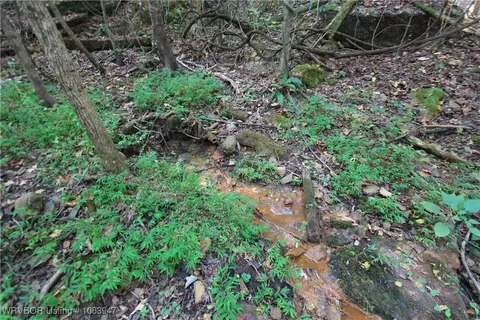 tbd Old 81 Loop, Rudy, AR 72952 photo 14