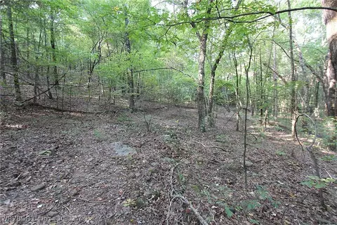tbd Old 81 Loop, Rudy, AR 72952 photo 7