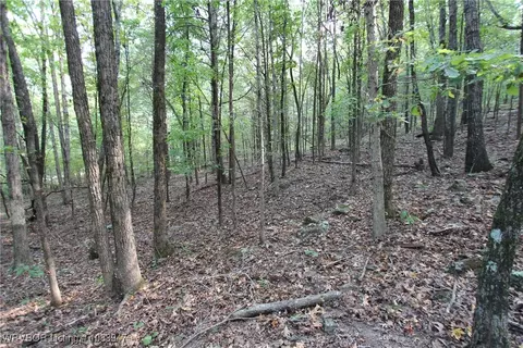 tbd Old 81 Loop, Rudy, AR 72952 photo 9