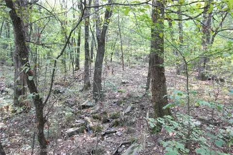 tbd Old 81 Loop, Rudy, AR 72952 photo 5