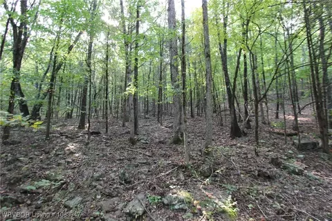 tbd Old 81 Loop, Rudy, AR 72952 photo 16