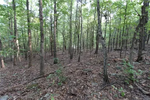tbd Old 81 Loop, Rudy, AR 72952 photo 18