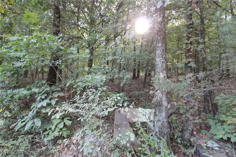 tbd Old 81 Loop, Rudy, AR 72952 photo 21