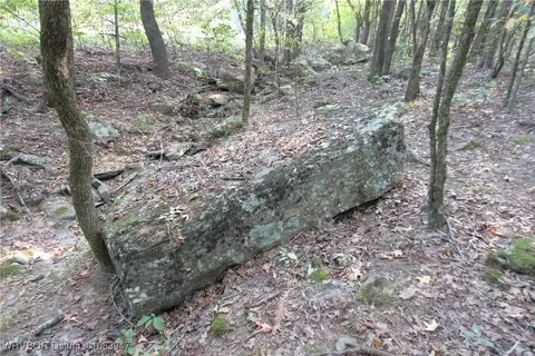 tbd Old 81 Loop, Rudy, AR 72952 photo 4