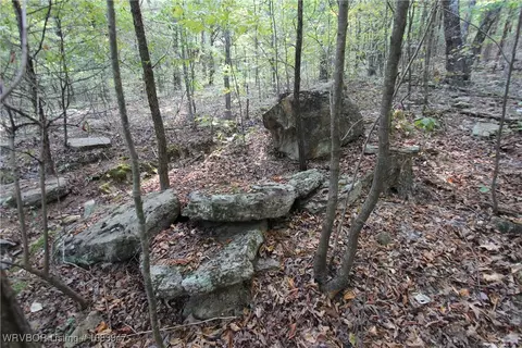 tbd Old 81 Loop, Rudy, AR 72952 photo 8