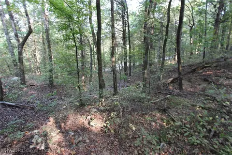 tbd Old 81 Loop, Rudy, AR 72952 photo 20