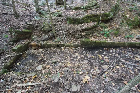 tbd Old 81 Loop, Rudy, AR 72952 photo 12
