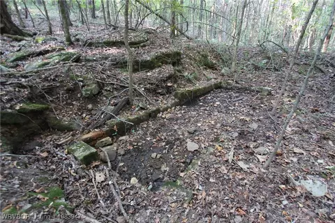 tbd Old 81 Loop, Rudy, AR 72952 photo 11