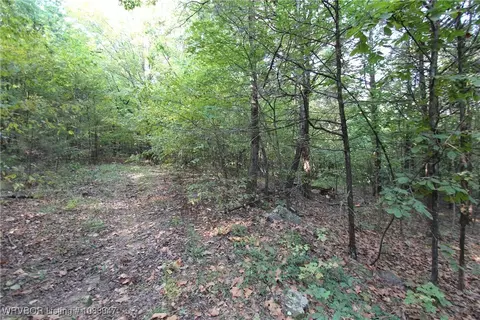 tbd Old 81 Loop, Rudy, AR 72952 photo 6